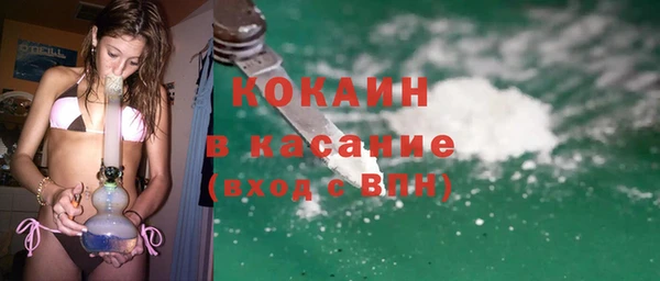 индика Кулебаки