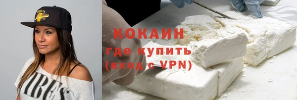 индика Кулебаки