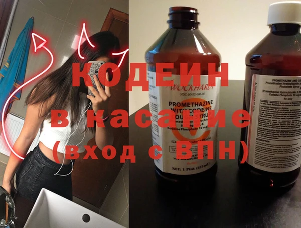индика Кулебаки
