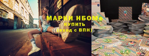индика Кулебаки