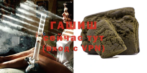индика Кулебаки