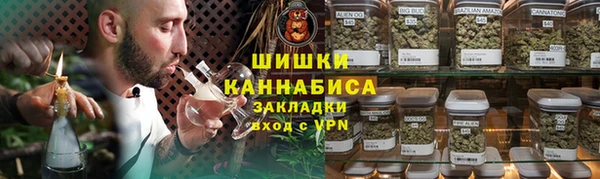 индика Кулебаки