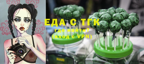 индика Кулебаки