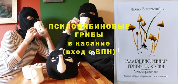 индика Кулебаки