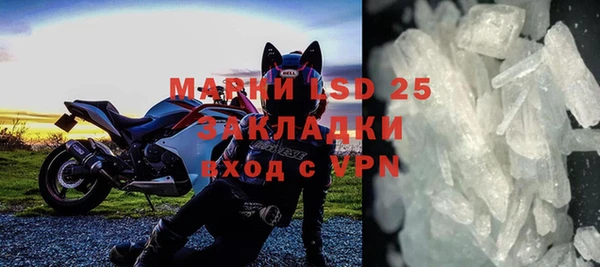 индика Кулебаки