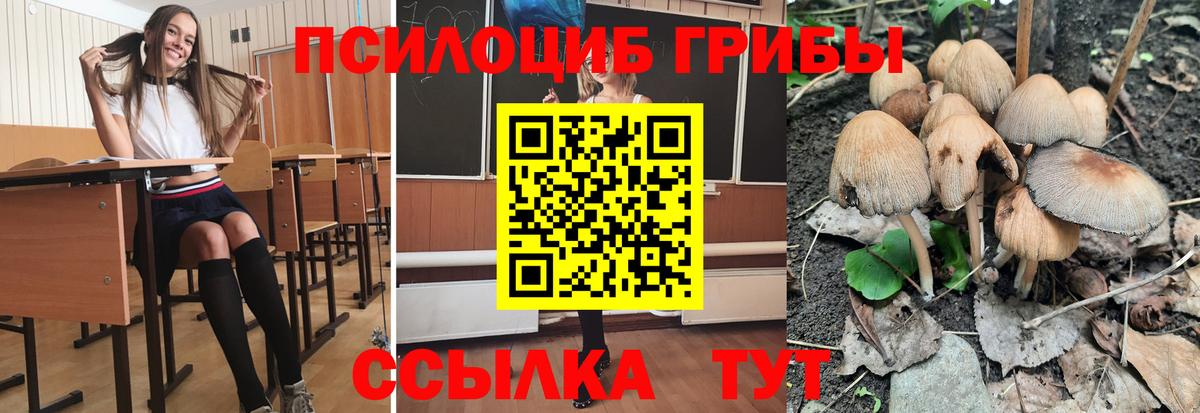 Павлово  Галлюциногенные грибы мицелий  Вход с VPN 