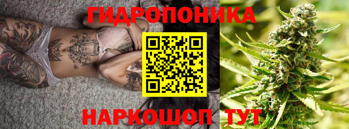 Марихуана Ganja  Шишки марихуана семена  Вход с VPN  Каннабис ГИДРОПОН  Шишки марихуана сатива  Павлово 