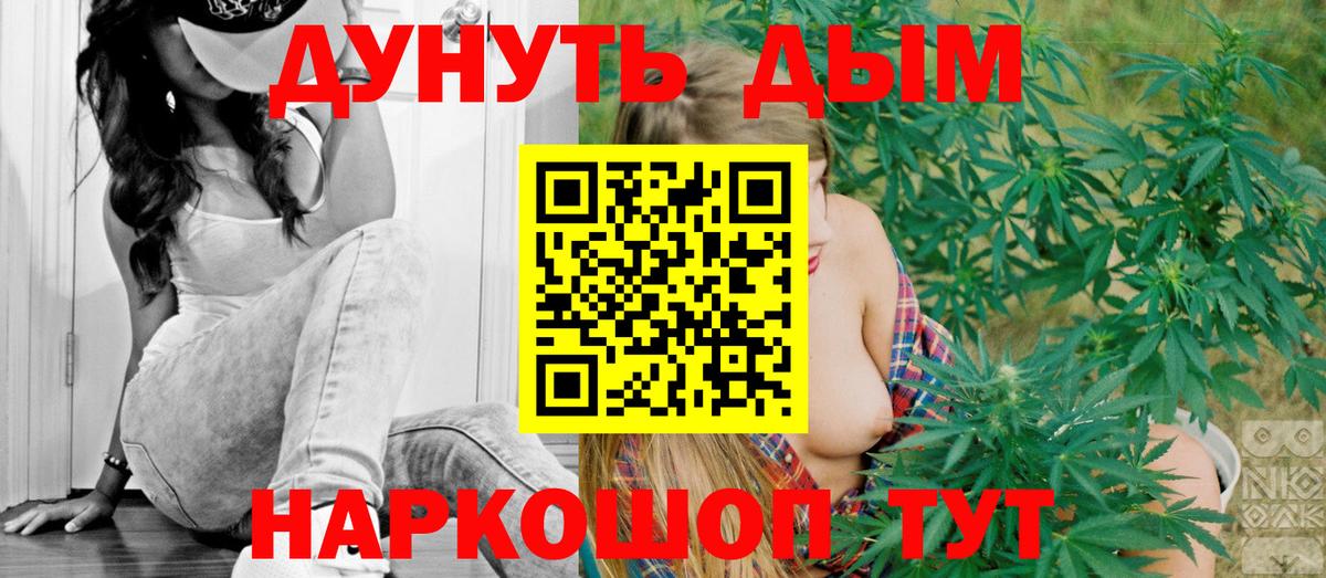 Конопля сатива Павлово